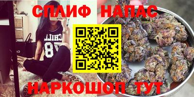 ALPHA PVP Гай