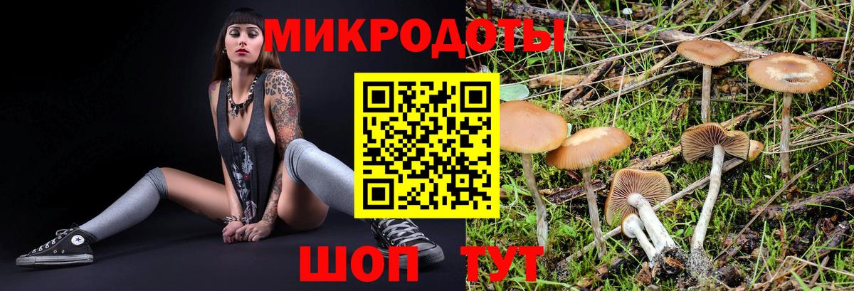 Псилоцибиновые грибы Psilocybine cubensis  Вход с VPN  Дюртюли 